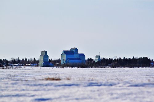 Forestburg, Alberta